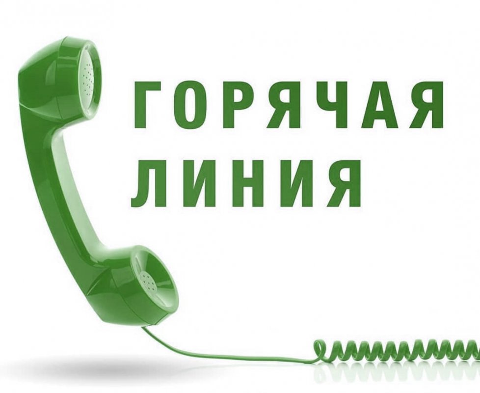 В РАМКАХ ДЕКАДЫ ИНВАЛИДОВ ЦСО ПРОВЕДЕТ ГОРЯЧУЮ ЛИНИЮ